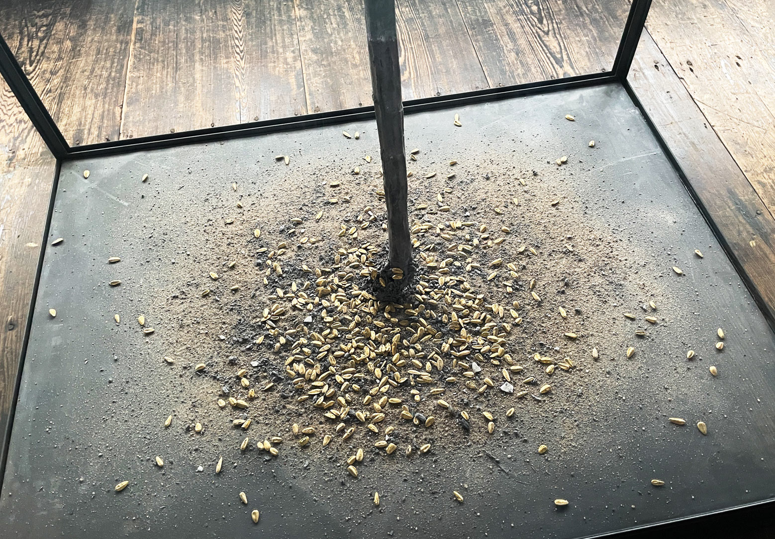 Anselm Kiefer SOLARIS installation seeds sand detail